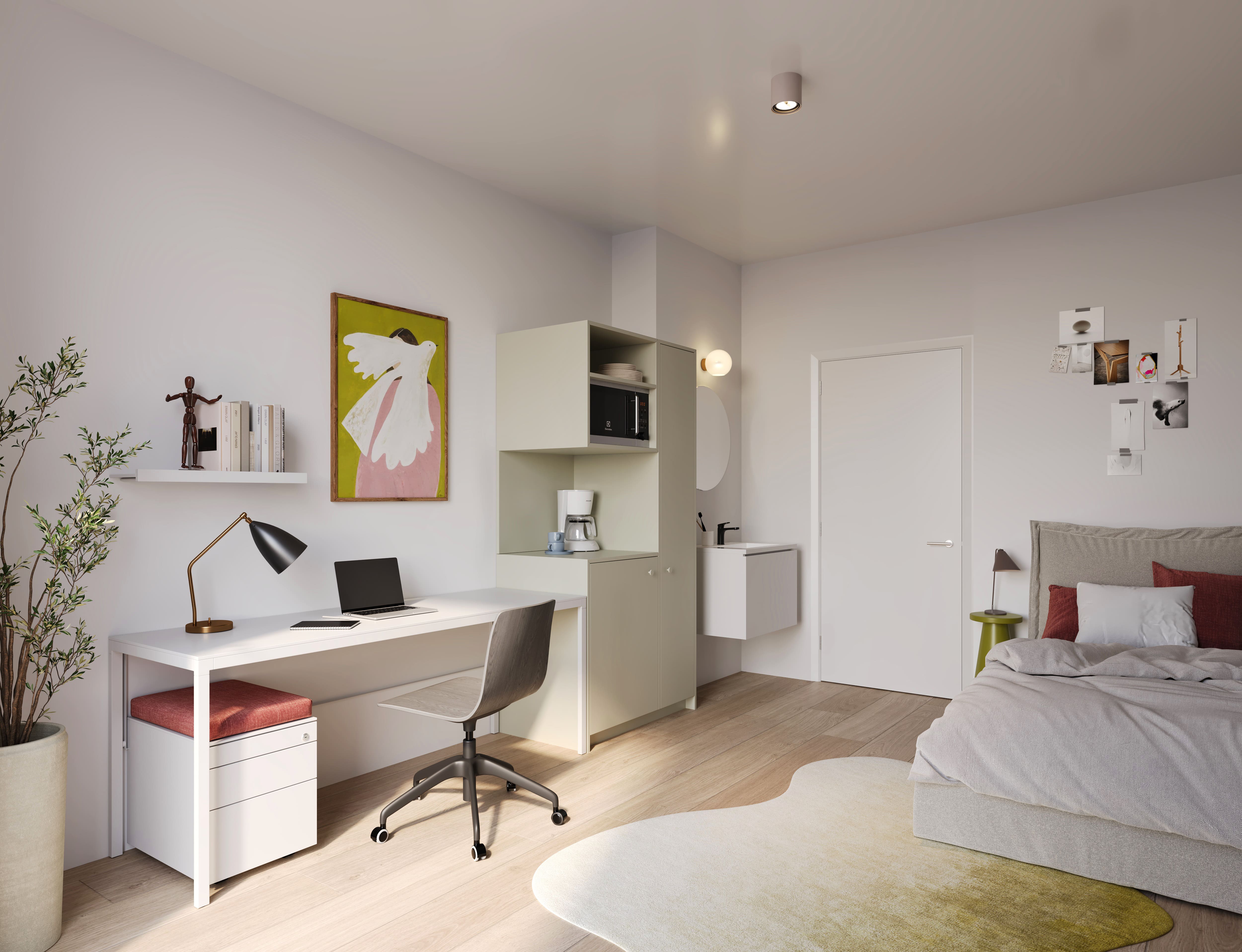 Studentenvastgoed in Gent, Leuven, Brussel en Antwerpen: waar investeer je het best?