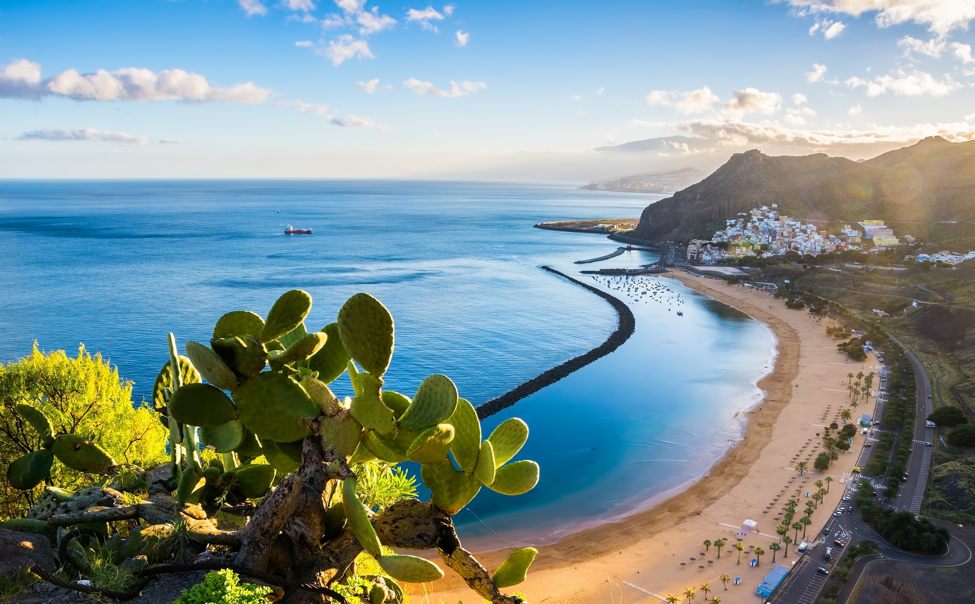 Gratis Infodag Tenerife & Gran Canaria – Oostkamp